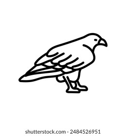 Ferruginous Hawk Outline Icon, Vector illustration