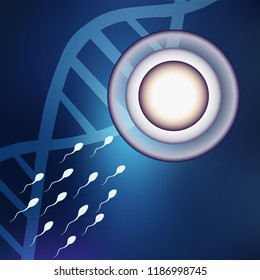 Fertile egg cells, the first stage of the birth of a new life. Connections of two germ cells of the spermatozoon and the oocyte. Vector illustration.