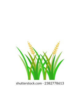 Fertile Rice Plants Design Element Vector Illustration. Fertile Rice Plants Logo. Fertile Rice Plants Icon.
