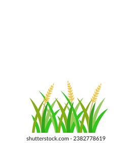 Ilustración vectorial de elementos de diseño de plantas de arroz fértil. Logo De Las Plantas De Arroz Fértil. Icono de las plantas de arroz fértil.