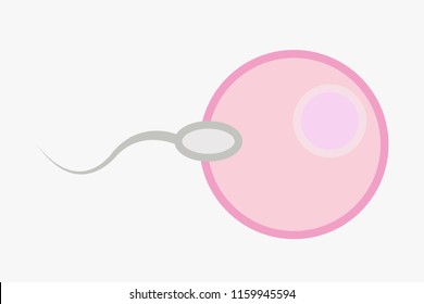 Fertility to have children