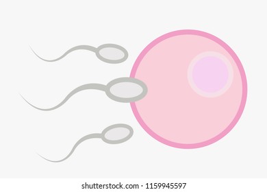 Fertility to have children