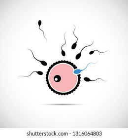 fertility reproduction of ovum and spermatozoon blue vector illustration EPS10