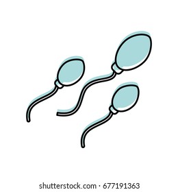 Fertilization by the spermatozoon
