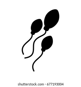 Fertilization by the spermatozoon