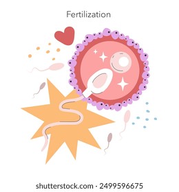 Fertilization concept. Fun depiction of sperm meeting egg during fertilization with stars and a heart symbol. Reproductive biology. Vector illustration.