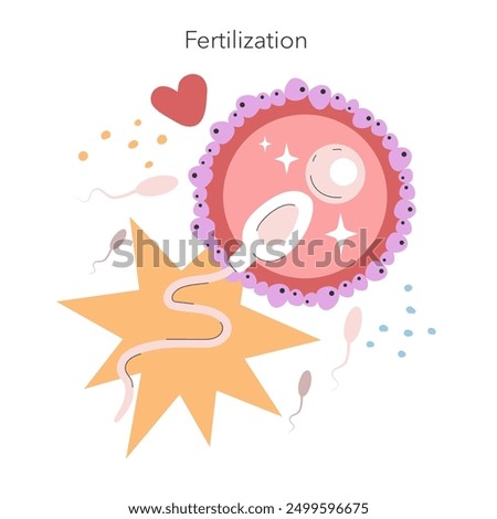Fertilization concept. Fun depiction of sperm meeting egg during fertilization with stars and a heart symbol. Reproductive biology. Vector illustration.