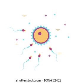 Fertilization concept with ovum and sperm. Stock vector illustration of human sex cells forming fertilized egg zygote. Medicine and biology collection