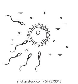 Fertilization concept with ovum and sperm. Stock vector illustration of human sex cells forming fertilized egg zygote isolated on white background. Medicine and biology collection