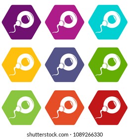 Fertilization egg icons 9 set coloful isolated on white for web