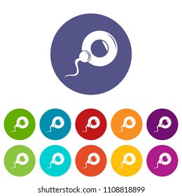 Fertilization egg icons color set vector for any web design on white background