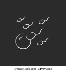 Fertilización dibujada a mano en tiza sobre un icono blanco vectorial de pizarra aislado en un fondo negro.