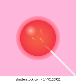 Fertilization in human body illustration
