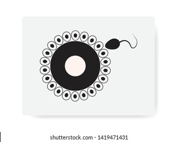Fertilization of human, Egg cell and sperm cell, vector illustration eps10