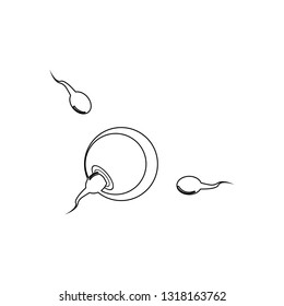 fertilization icon. Element of Human parts for mobile concept and web apps icon. Outline, thin line icon for website design and development, app development