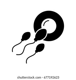 Fertilization of the ovum by the spermatozoon