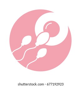 Fertilization of the ovum by the spermatozoon