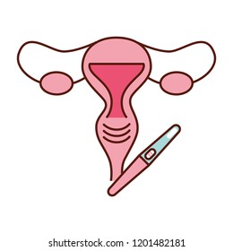 fertilization pregnancy medical
