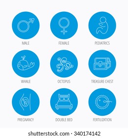 Fertilization, pregnancy and pediatrics icons. Baby child, whale and octopus linear signs. Treasure chest, double bed icons. Blue circle buttons set. Linear icons.