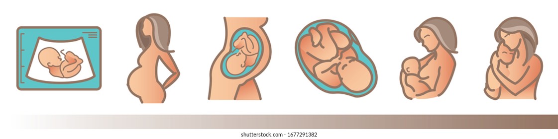 Fertilization, pregnancy, ultrasound procedure and motherhood. Vector icons. For your design