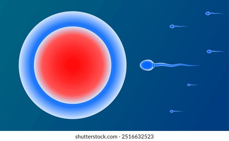 Proceso de fertilización de óvulos y espermatozoides