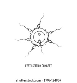 Fertilization process illustration with thin line icon design. Concept of interaction of sperm and ovum.