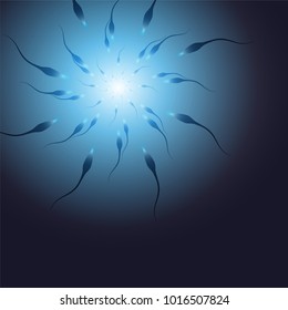 Fertilization. Spermatozoons tend to fertilize.