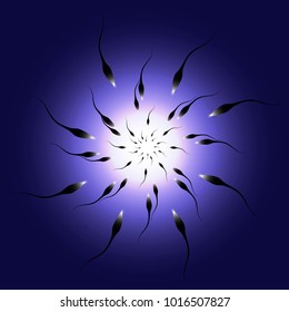 Fertilization. Spermatozoons tend to fertilize.