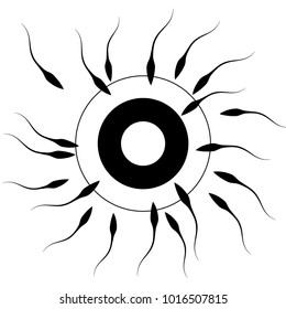 Fertilization. Spermatozoons tend to penetrate the target.