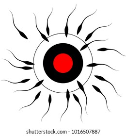 Fertilization. Spermatozoons tend to penetrate the target.