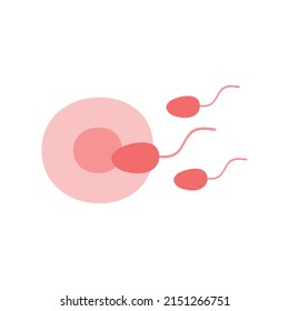 Fertilization thin line icon. Uterus, sperm, insemination. Embryology. 