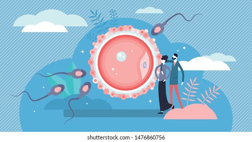 Fertilization vector illustration. Flat tiny baby planning persons concept. Pregnancy development and human reproduction symbolic visualization. New embryo life beginning and parenthood healthcare.