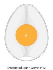 Fertilized chicken egg (contain blastoderm).