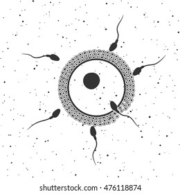 Huevo fertilizado con esperma. Ilustración vectorial. Concepto de medicina reproductiva e inseminación.