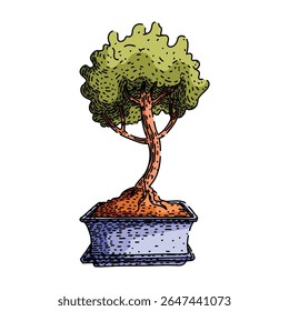 fertilizante bonzai árvore desenhada à mão. aparagem de fiação, repotting de estilo, ferramentas espécie fertilizante bonzai árvore esboço vetor. ilustração de cor isolada