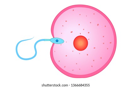 Cartoon Sperm Images, Stock Photos & Vectors | Shutterstock