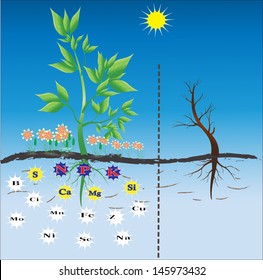 2,731,771 Plant nutrition Images, Stock Photos & Vectors | Shutterstock