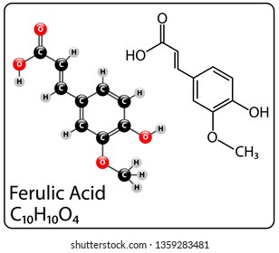 Ferulic Acid Molecule Structure
