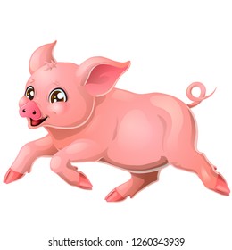 The fervent playful runing pink pig escape on four legs. A cartoon vector illustration isolated on white.
