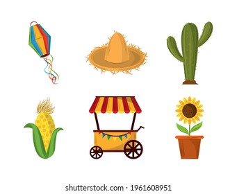 festa junina hat cactus sunflower