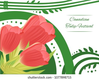 Festival red tulip vector - greeting card