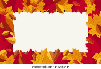 festive autumn card with maple leaf fall decorations and white paper space. autumn template for banner, ticket, greeting, leaflet, gift card, invitation, poster and banner. eps 10 vector illustration.