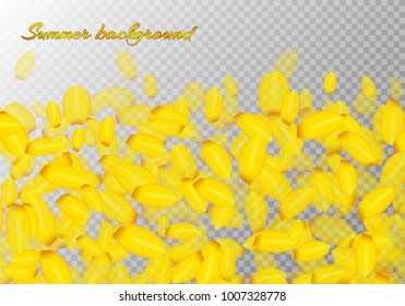 Festive background with falling petals of flowering crocuses for decoration of romantic greetings and invitations on a transparent backdrop