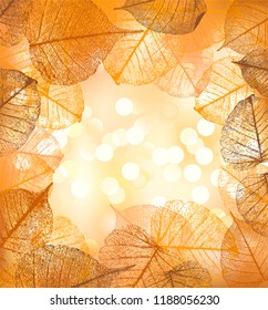 Festive background and Frame of vector autumn leaves, floral pattern.