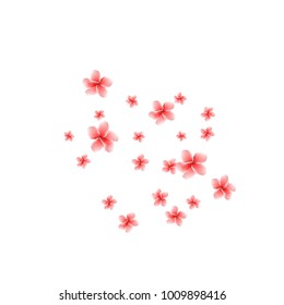 Festive Background with plumerias. Feminine Pattern for Postcard, Print, Banner or Poster. Small Pretty  flowers For Party Decoration, Wedding, Birthday or Anniversary Invitation.

