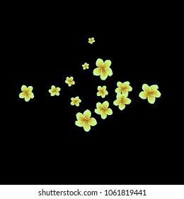 Festive Background with plumerias. Feminine Pattern for Postcard, Print, Banner or Poster. Small Pretty  flowers For Party Decoration, Wedding, Birthday or Anniversary Invitation.
