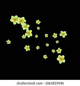 Festive Background with plumerias. Feminine Pattern for Postcard, Print, Banner or Poster. Small Pretty  flowers For Party Decoration, Wedding, Birthday or Anniversary Invitation.
