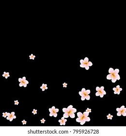 Festive Background with plumerias. Feminine Pattern for Postcard, Print, Banner or Poster. Small Pretty  flowers For Party Decoration, Wedding, Birthday or Anniversary Invitation.