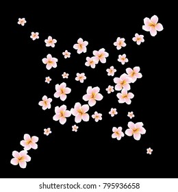 Festive Background with plumerias. Feminine Pattern for Postcard, Print, Banner or Poster. Small Pretty  flowers For Party Decoration, Wedding, Birthday or Anniversary Invitation.