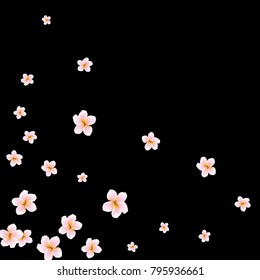 Festive Background with plumerias. Feminine Pattern for Postcard, Print, Banner or Poster. Small Pretty  flowers For Party Decoration, Wedding, Birthday or Anniversary Invitation.